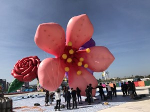 台中花博-花朵