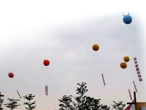 空飄動物頭氣球